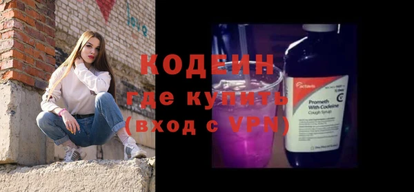 амф Вяземский